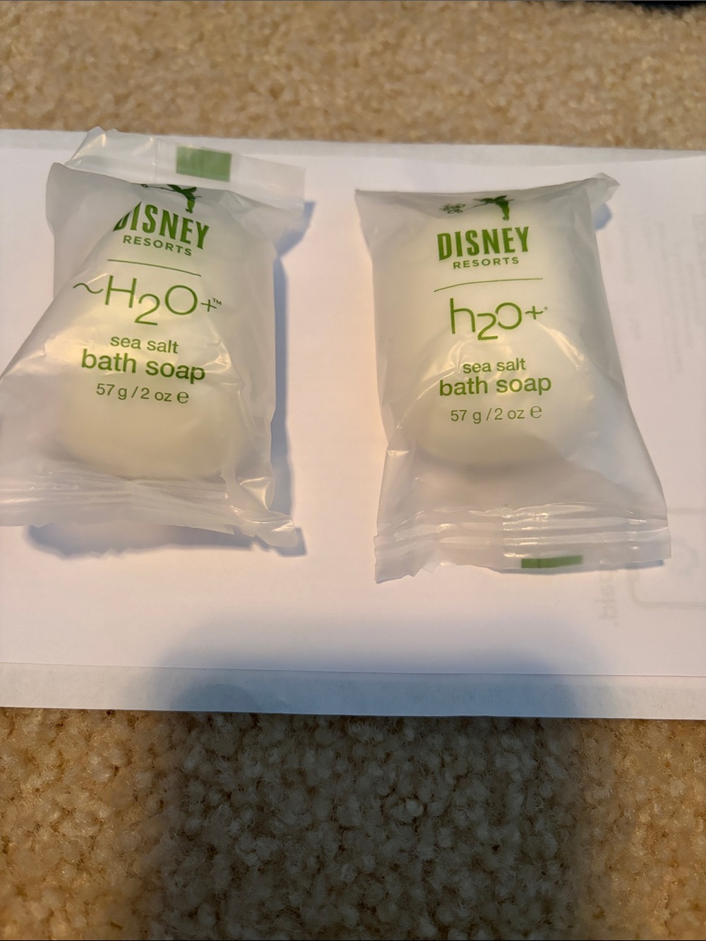 Disney Sea Salt Bath Soap – H2O+